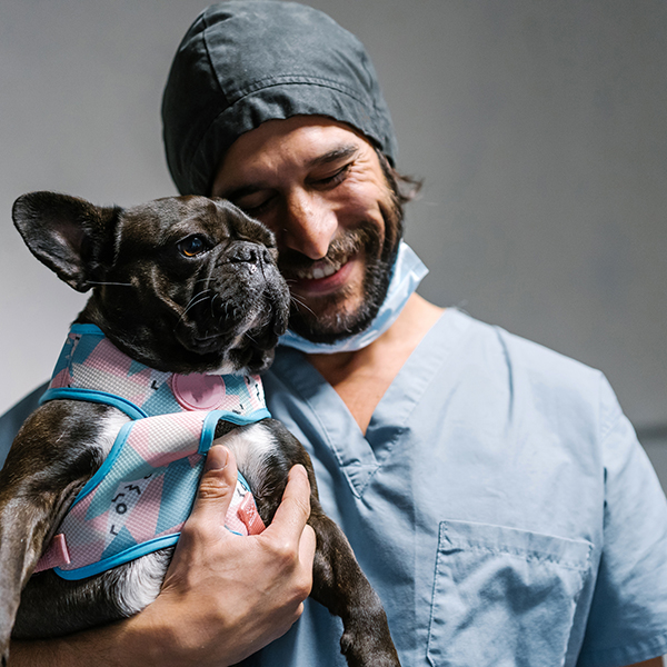 Vet Smiling With A Dog. Vet Smiling With A Dog.