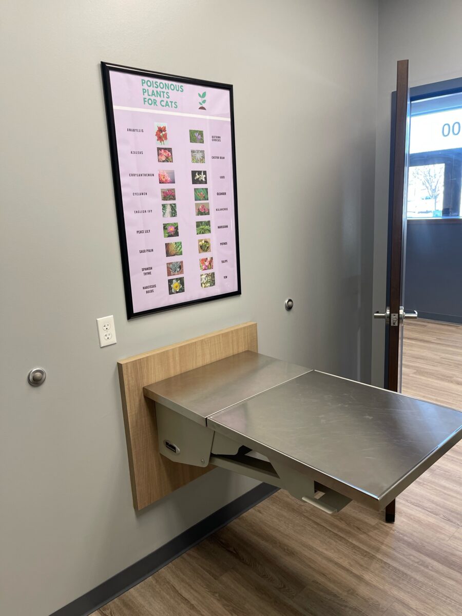 Veterinary Hospital In Bedford, TX Bedford Oaks Family Vet