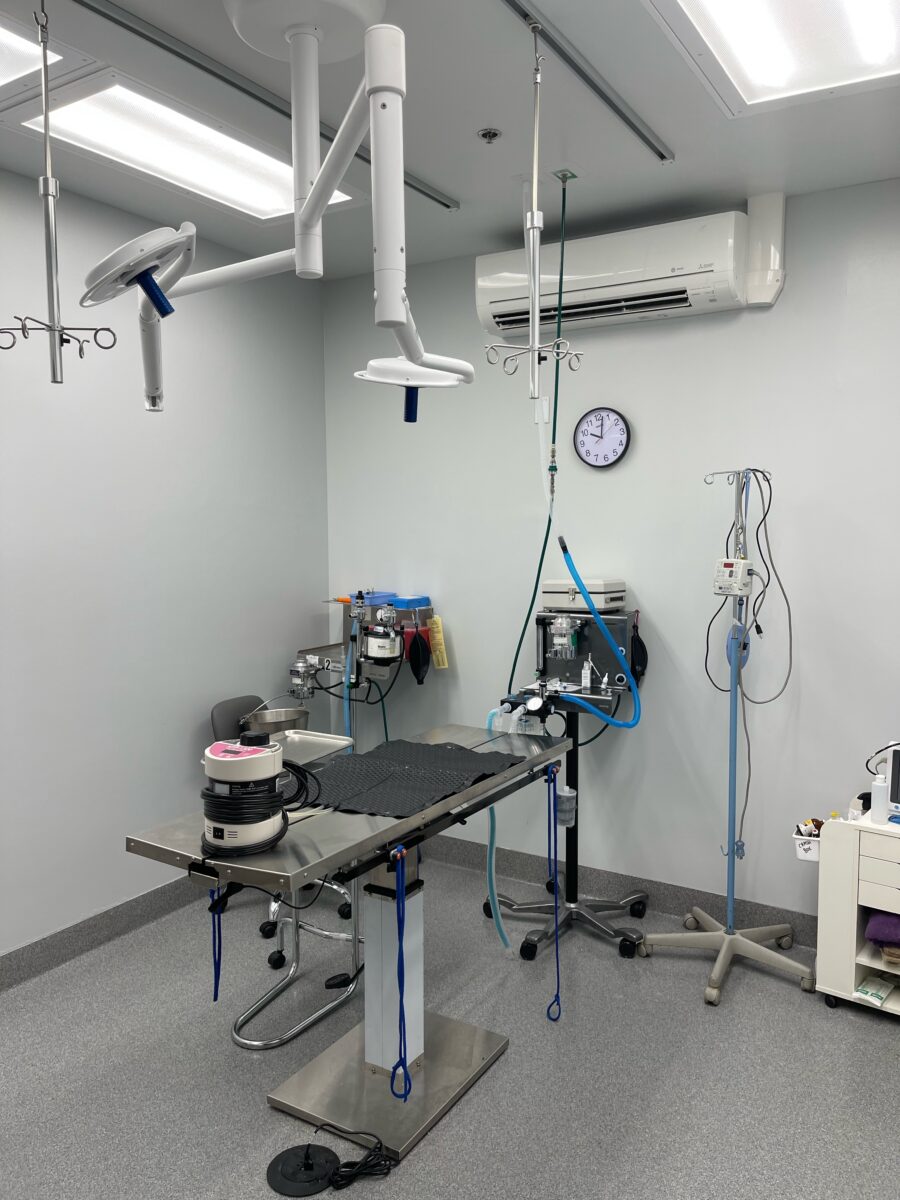 Veterinary Hospital In Bedford, TX Bedford Oaks Family Vet