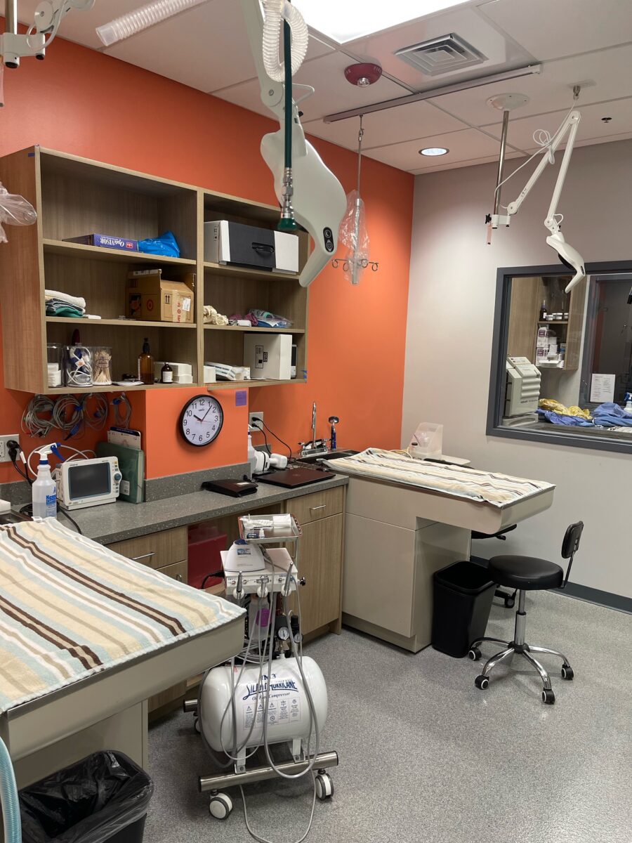 Veterinary Hospital In Bedford, TX Bedford Oaks Family Vet