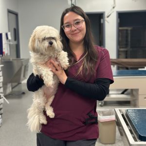 Untitled design (57) A woman in a maroon shirt is holding a small white dog
