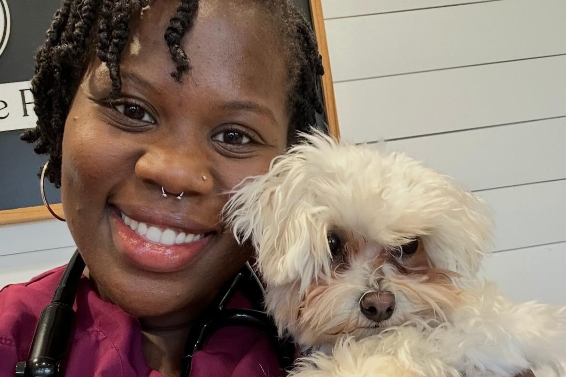 dog sitting on couch