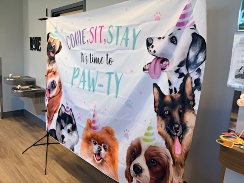 A display banner for the program