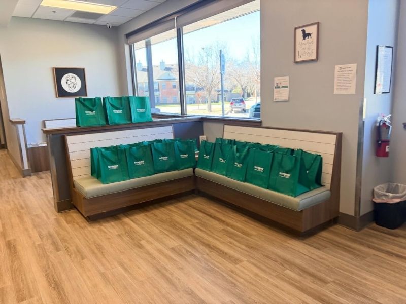 A waiting room with many green bags on benches