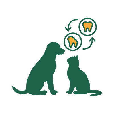 pet dentistry icon