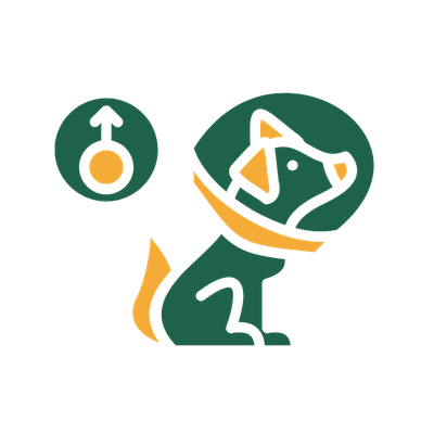 pet spay neuter icon