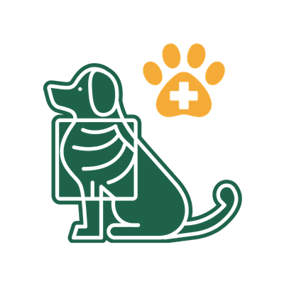 pet digital radiography icon